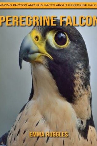 Cover of Peregrine Falcon