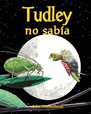 Book cover for Tudley No Sabía (Tudley Didn't Know)