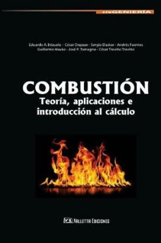 Cover of Combustion