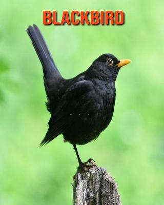 Book cover for Blackbird