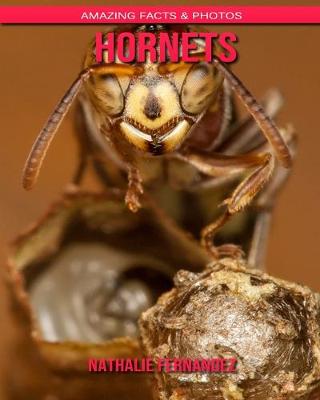 Book cover for Hornets