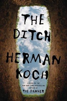 Book cover for The Ditch