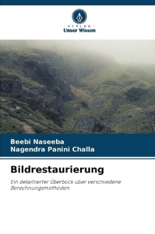 Cover of Bildrestaurierung