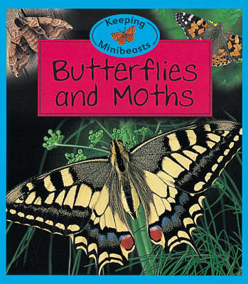 Book cover for Butterflies and Moths