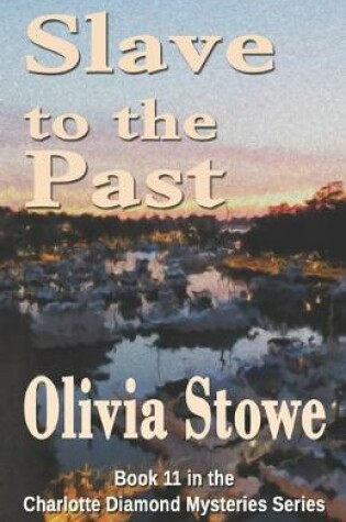 Cover of Slave to the Past