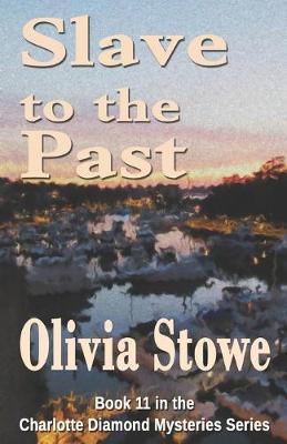 Book cover for Slave to the Past