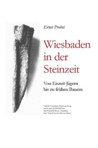 Cover of Wiesbaden in der Steinzeit