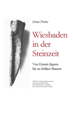 Book cover for Wiesbaden in der Steinzeit