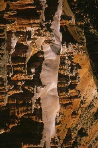 Cover of The Alligator Rock Formation at Bryce Canyon U S National Park in Utah