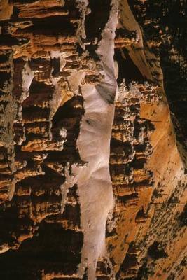 Book cover for The Alligator Rock Formation at Bryce Canyon U S National Park in Utah