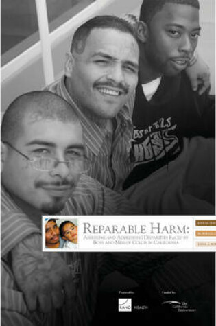Cover of Reparable Harm--Executive Summary