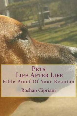 Cover of Pets Life After Life