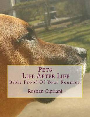 Book cover for Pets Life After Life