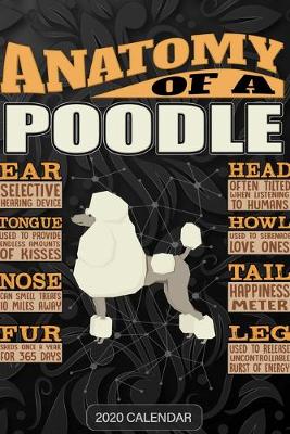 Book cover for Anatomy Of A Poodle