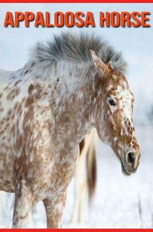 Cover of Appaloosa Horse