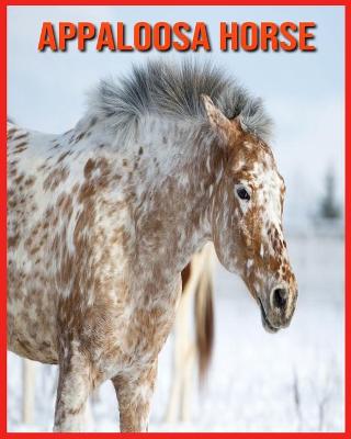 Book cover for Appaloosa Horse