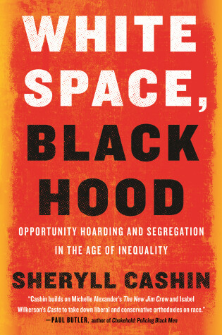 Cover of White Space, Black Hood