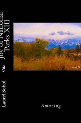 Cover of Joy of National Parks XIII