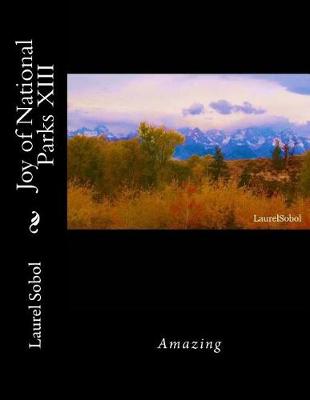 Book cover for Joy of National Parks XIII