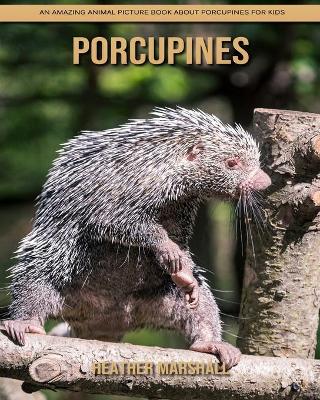 Book cover for Porcupines