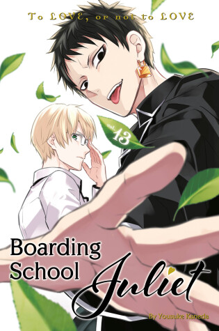 Cover of Boarding School Juliet 13