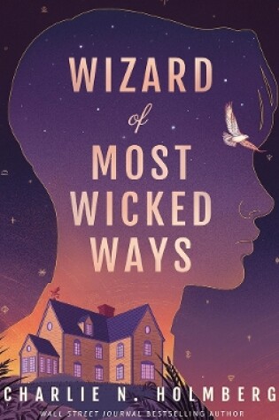 Cover of Wizard of Most Wicked Ways