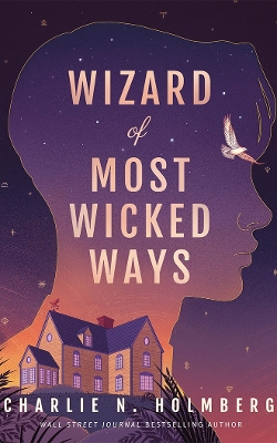 Book cover for Wizard of Most Wicked Ways