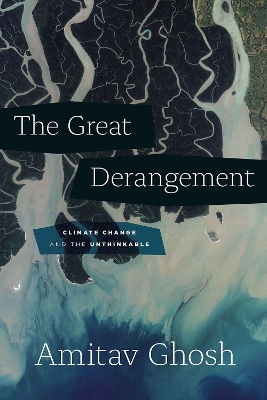 Book cover for The Great Derangement