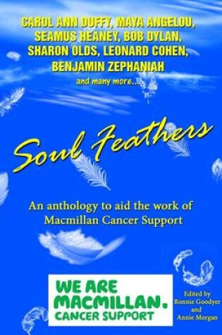 Cover of Soul Feathers
