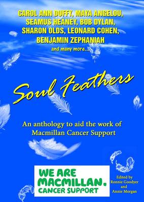 Book cover for Soul Feathers