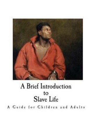 Cover of A Brief Introduction to Slave Life