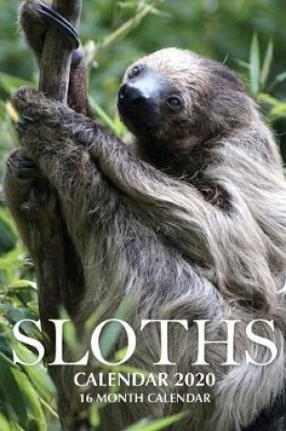 Cover of Sloths Calendar 2020