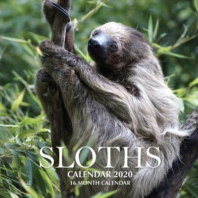 Book cover for Sloths Calendar 2020