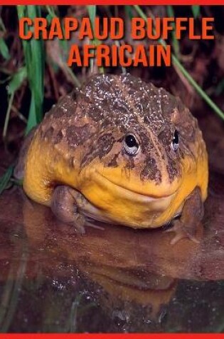 Cover of Crapaud Buffle Africain