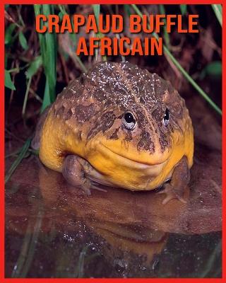 Book cover for Crapaud Buffle Africain