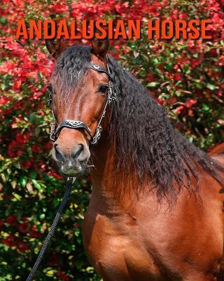Book cover for Andalusian Horse