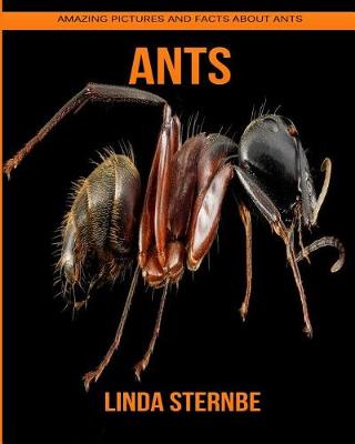 Cover of Ants