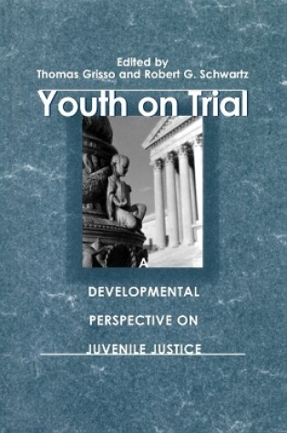 Cover of Youth on Trial