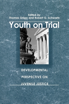 Book cover for Youth on Trial