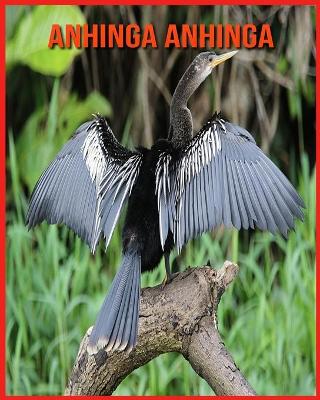 Book cover for Anhinga anhinga