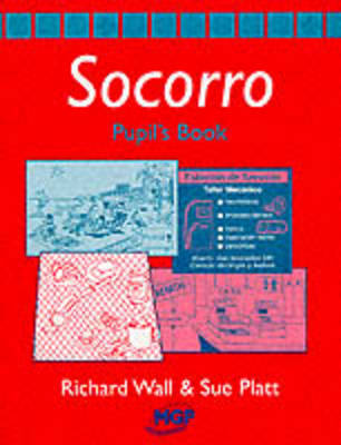 Book cover for Socorro