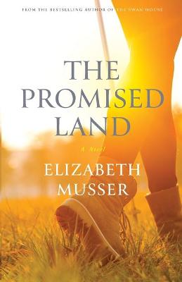 Book cover for The Promised Land