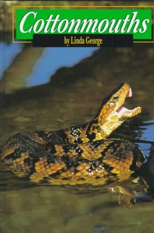 Cover of Cottonmouths