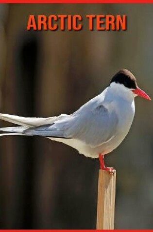 Cover of Arctic Tern