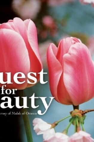 Cover of Quest for Beauty