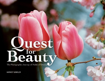 Book cover for Quest for Beauty