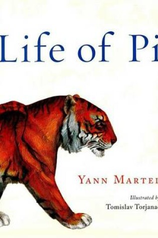 Cover of Life of Pi - Canceled