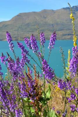 Book cover for Spring Flowers at Lake Wanaka in New Zealand