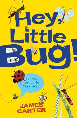Book cover for Hey Little Bug