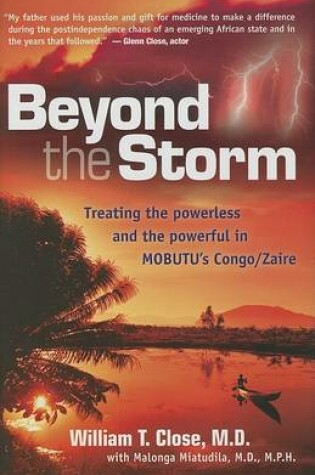 Cover of Beyond the Storm